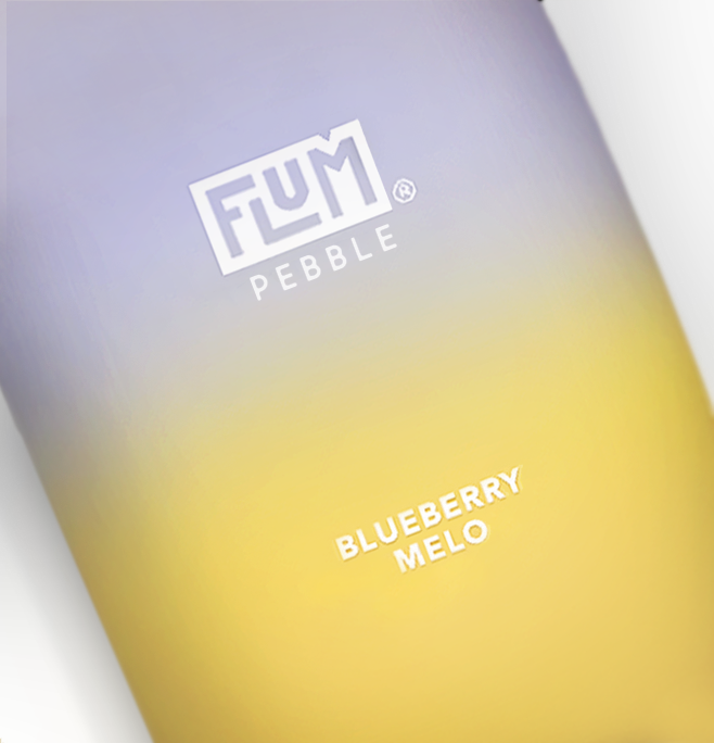FLUM PEBBLE - BLUEBERRY MELO - 6000 PUFFS